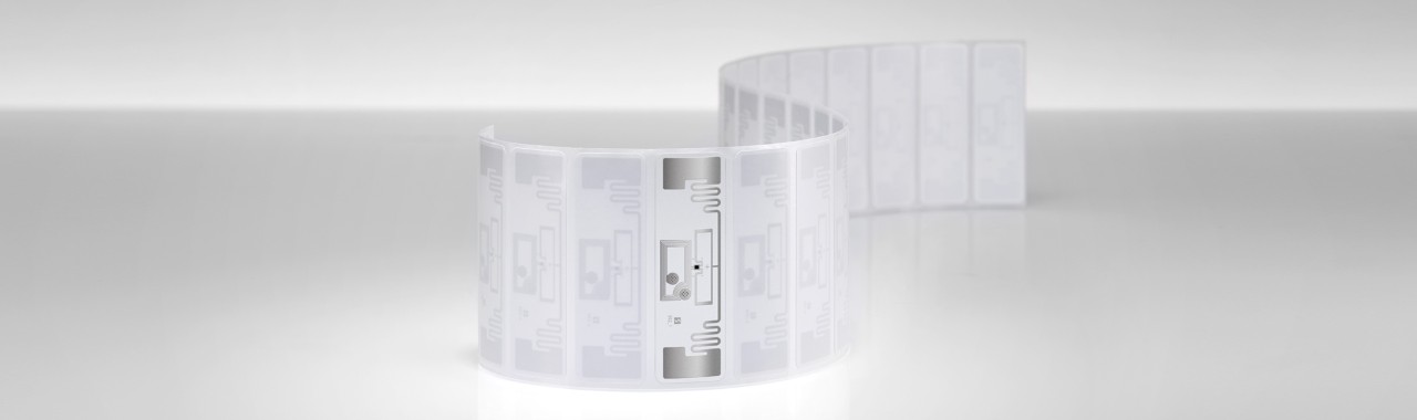 Belt DF